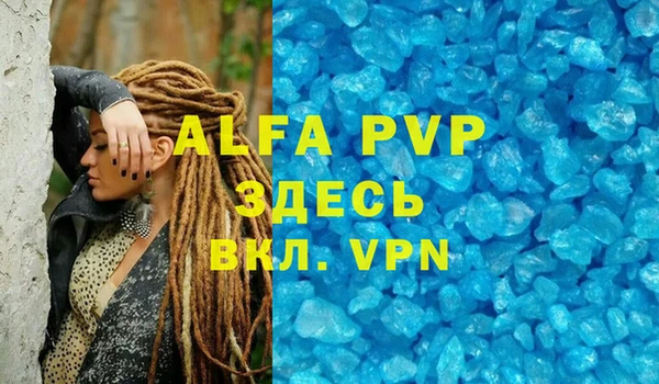 стаф Балахна