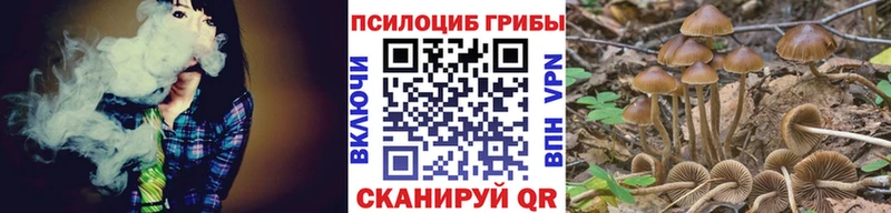 гидра онион  Барабинск  Псилоцибиновые грибы прущие грибы 